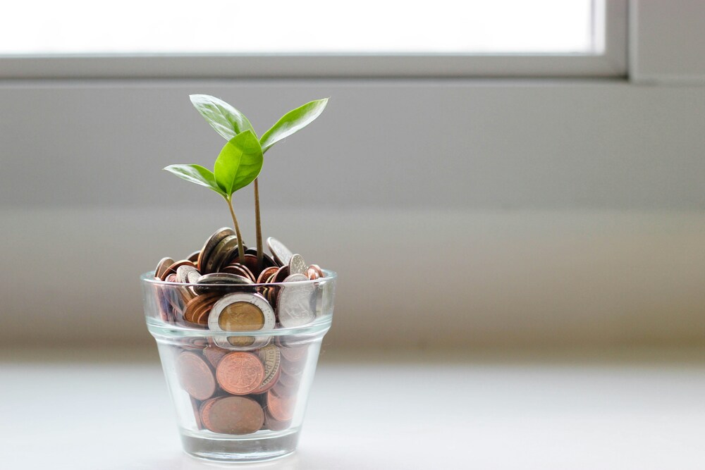 A inteligência financeira nos faz tomar decisões financeiras conscientes.