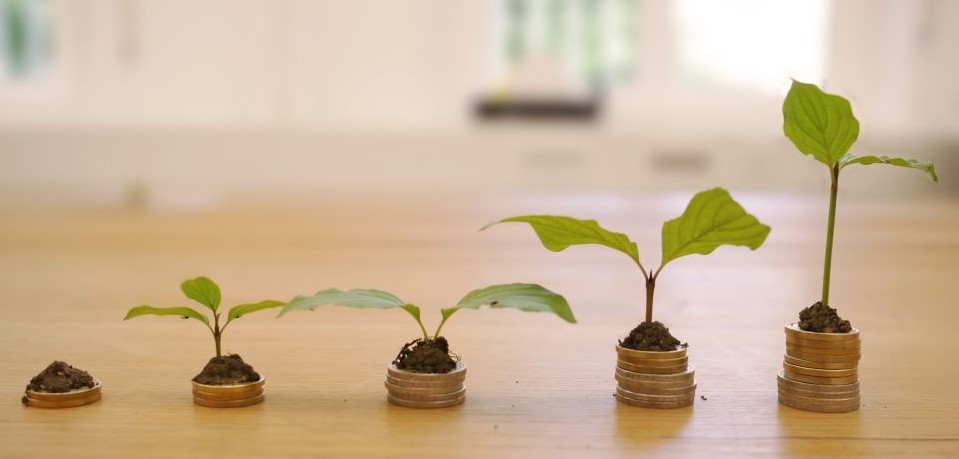 imagem de moedas epmpilhadas com plantas indicando crescimento, investimentos do zero.