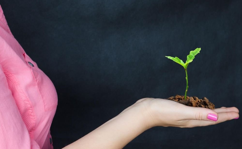 Mão de mulher segurando uma pequena planta representando crescimento financeiro